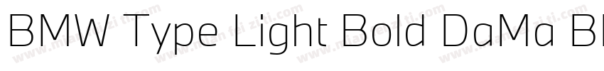 BMW Type Light Bold DaMa BMWType Bo字体转换